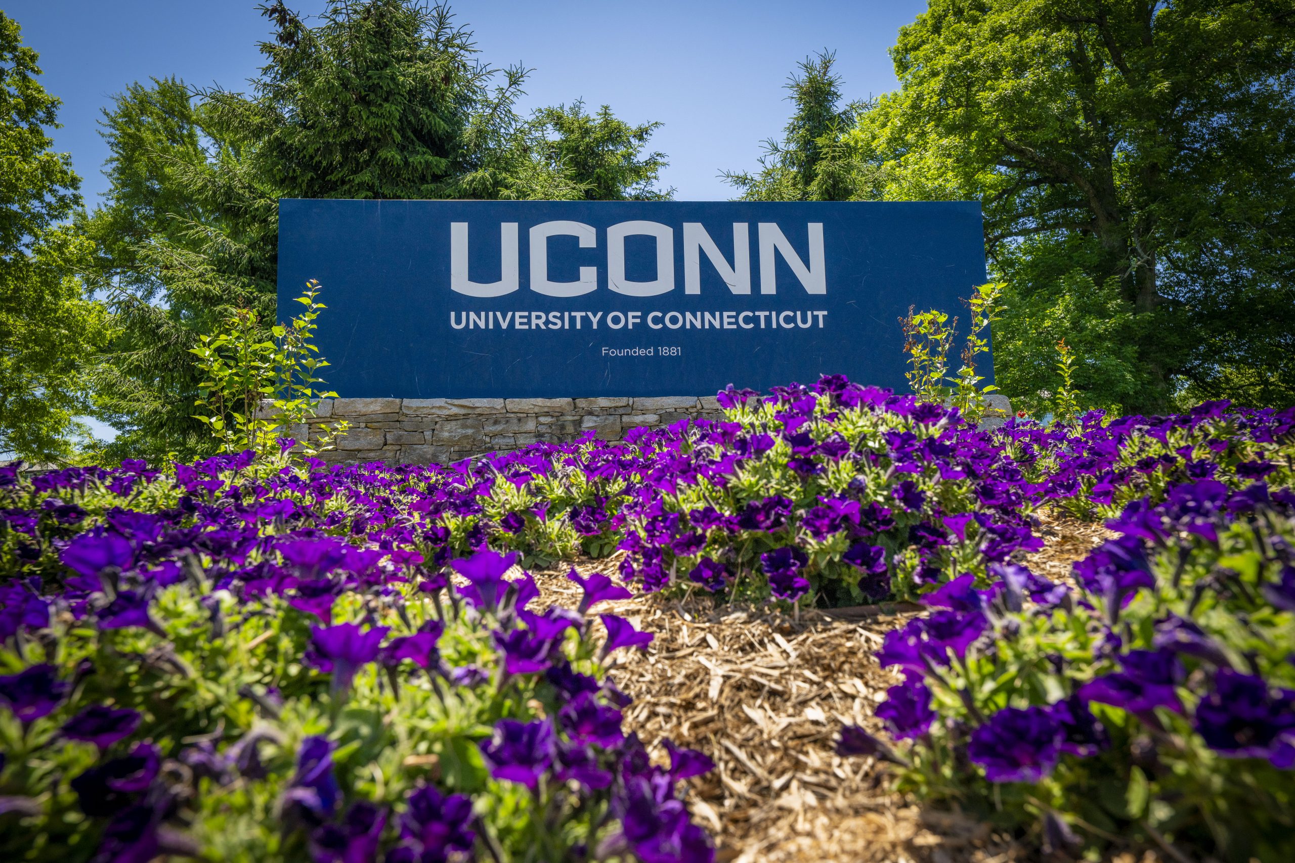 File photo: UConn’s entryway sign at North Eagleville Road on June 3, 2026.