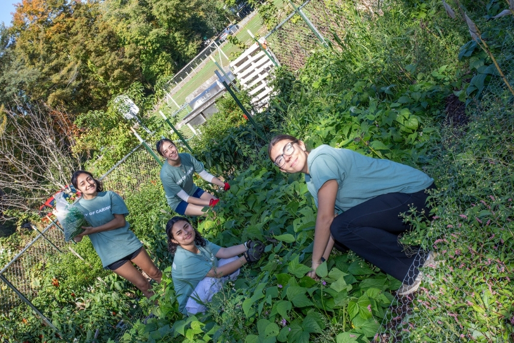 Day of Caring volunteers tend a garden in Windham on October 3, 2026.