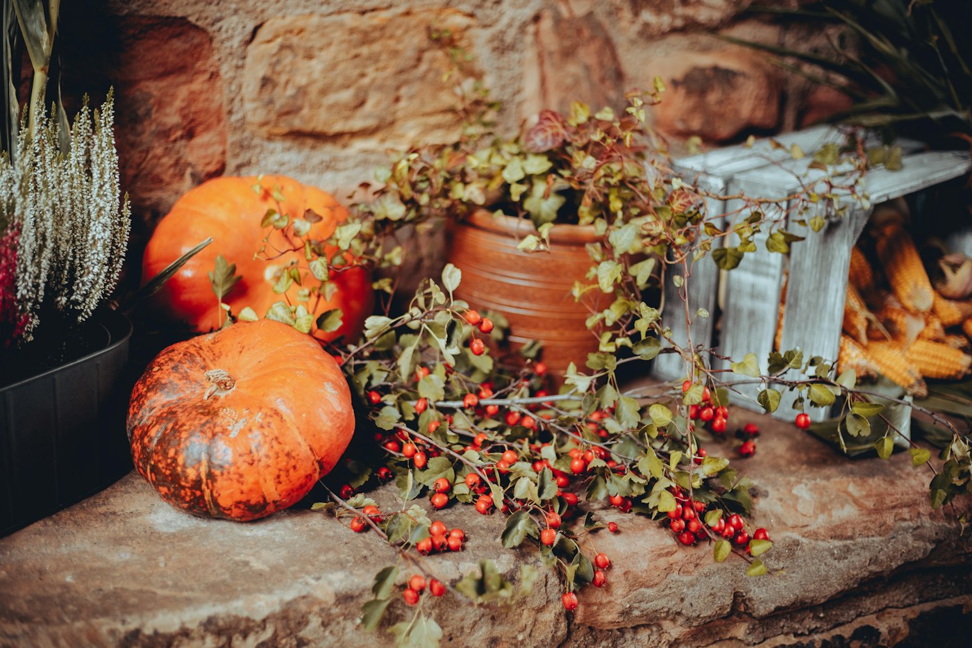 Generic file photo of pumpkins; not this story's people, location or event